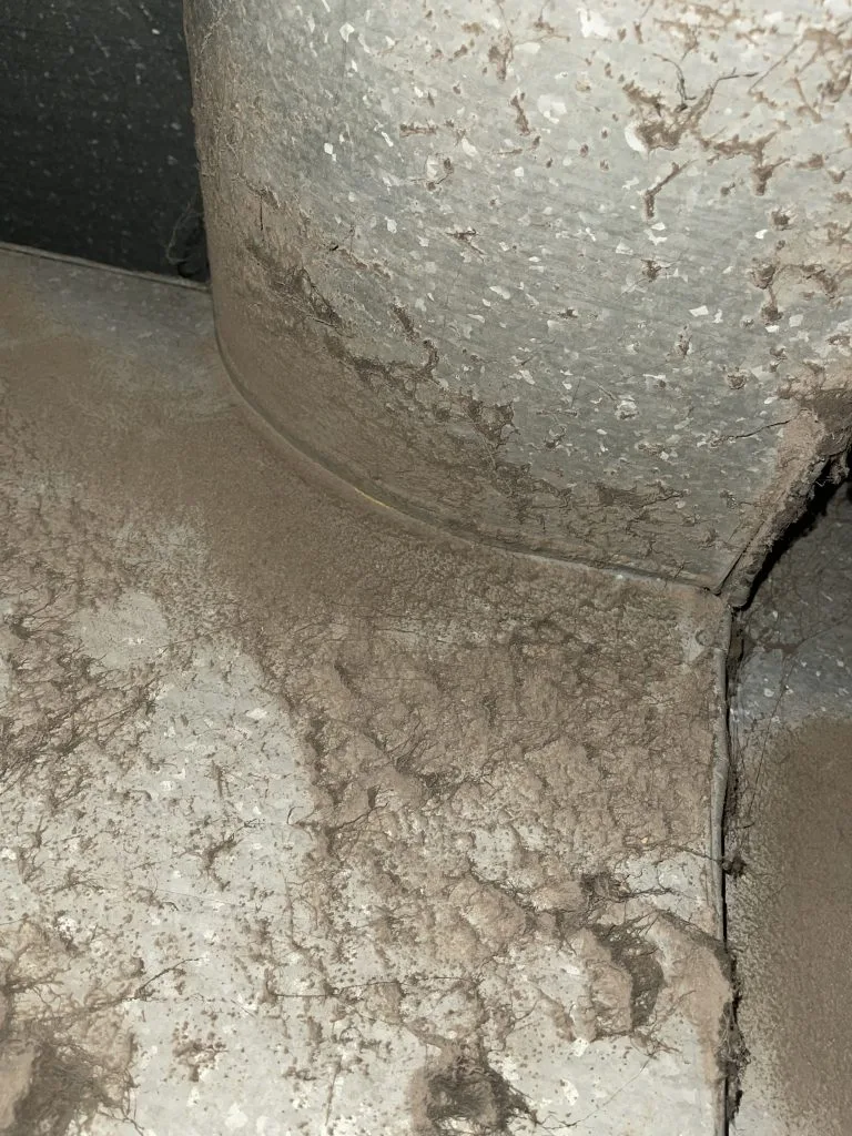 Interior of a dust-caked residential air duct branch