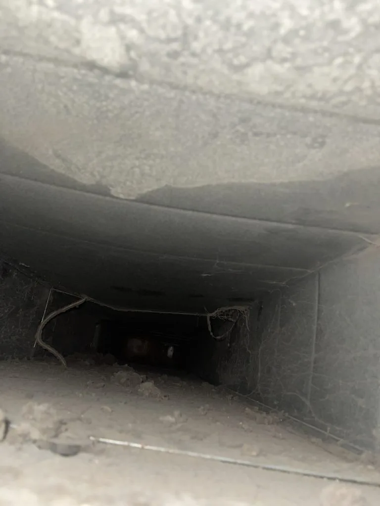 Interior of a residential air duct coated in dust with visible cobwebs