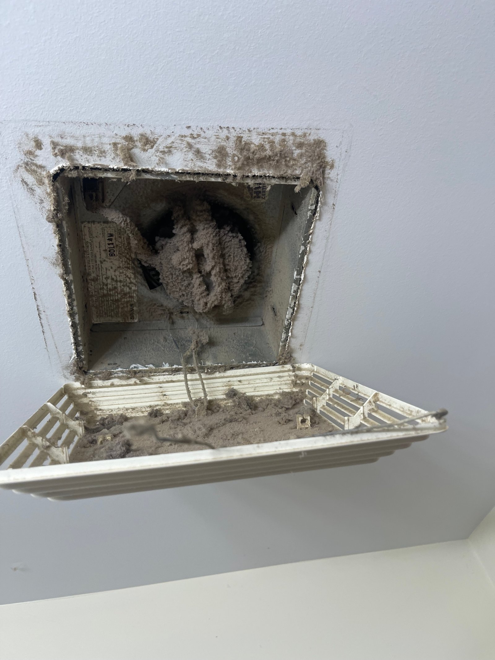 Mold and moisture buildup around a washroom exhaust vent before cleaning
